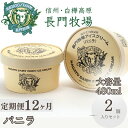 【ふるさと納税】【定期便】12ヵ月連続でお届け!長門牧場アイスクリーム 480ml バニラ2個セット ギフト スイーツ デザート 人気 おすすめ 高評価 お土産...