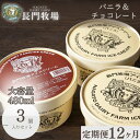 【ふるさと納税】【定期便】12ヵ月連続でお届け!長門牧場アイスクリーム 480ml 3個セット バニラ チョコレート アイス ギフト スイーツ デザート 人気 おすすめ 高評価 お土産 ご当地 ひんやりスイーツ