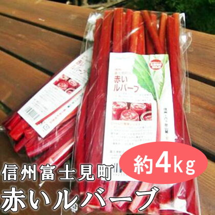 先行受付 富士見町の赤いルバーブ約4kg（500g×8袋） 2024年5月末より順次発送　【野菜・健康野菜・ジャム・美肌効果・生活習慣病予防・植物繊維・アントシアニン・カリウム・カルシウム】