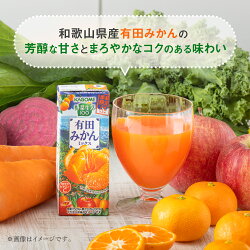 【ふるさと納税】カゴメ 野菜生活100 有田みかんミックス（24本入）【ジュース・野菜・果実ミックスジュース】　【野菜ジュース・飲料類・果汁飲料・ジュース】･･･ 画像1