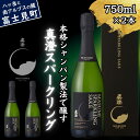 【ふるさと納税】真澄 スパークリング 750ml 2本 セット 日本酒 地酒 酒 泡酒 食中酒 女性 おすすめ 宮坂醸造 老舗 諏訪五蔵 富士見蔵 パーティー ...