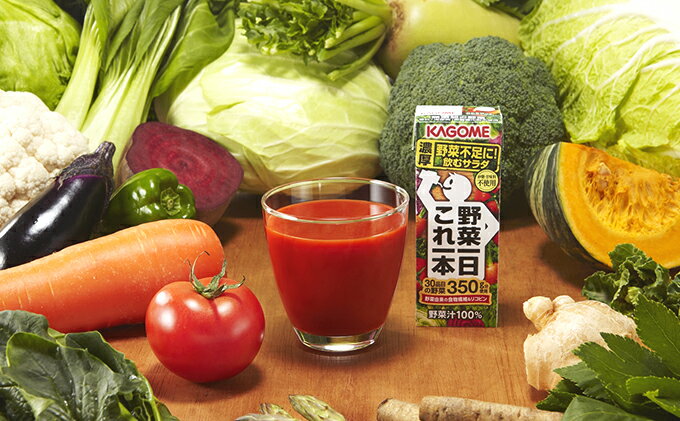 【ふるさと納税】【2ヶ月連続お届け】カゴメ野菜一日これ一本(24本入)【ジュース・野菜ミックス濃縮ジュース】【定期便・定期便・野菜飲料・野菜ジュース・飲料類・果汁飲料・セット・ジュース】