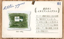 【ふるさと納税】【うさぎ用】富士見町産牧草セット(180g×3種類)　【雑貨・日用品・ペット用品・ペットフード・ウサギ】 画像2