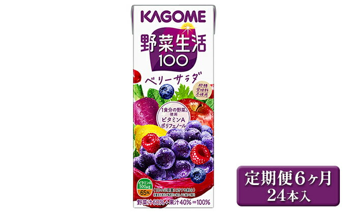 【ふるさと納税】【6ヶ月連続お届け】カゴメ 野菜生活ベリーサラダ（24本入）　【定期便・果汁飲料・ジュース・フルーツ・ビタミンA・ポリフェノール】