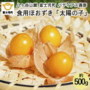 名称食用ほおずき 「太陽の子」内容量約500g(55～75粒)産地長野県富士見町産賞味期限発送日より常温で1ヶ月程度保存方法箱などに広げて、ガク(ほおずきの袋)がついた状態のまま風通しのよい場所で保存してください。※袋などに入れて密閉はしないでください。 冷蔵庫で保存する場合は、ガクがついた状態のまま、かごなどに入れて密閉せずに保存してください。※湿気に弱く濡れると傷みやすくなるためご注意ください。製造者バディアス農園事業者バディアス農園配送方法常温配送お届け時期2024年9月上旬頃から12月下旬まで順次発送備考※画像はイメージです。 ・ふるさと納税よくある質問はこちら ・寄附申込みのキャンセル、返礼品の変更・返品はできません。あらかじめご了承ください。【ふるさと納税】【2024年先行受付】【農薬不使用】 食用ほおずき 「太陽の子」 500g バディアス農園 【食用ほおずき「太陽の子」の糖度は12～15度！桃やメロンと同じレベルの甘い品種】 標高1,100メートルの八ヶ岳山麓で育った食用ほおずき「太陽の子」は、糖度12～15度で、フルーティーな甘みと酸味、芳醇な香りと特徴的な風味です。そのまま生食はもちろん、ジャムやスイーツなどにもおススメです。 なかなか市場には出回ることが少ない 食用ほおずき「太陽の子」。是非一度お召し上がりください。 【ビタミンたっぷり！食用ほおずき】 日本ではまだなじみが少ないですが、フランスやイタリアでは盛んに栽培され広く親しまれています。 食用ほおずきは、とにかくビタミンが豊富。ビタミンAは一般的なトマトの4倍、鉄分は一般的なトマトの2.5倍含まれます。さらに、脂肪肝や動脈硬化の予防、整腸作用、髪を健康に保つ効果、脳機能改善効果等の効果があると言われている「イノシトール」も豊富に含まれています。 甘酸っぱくてジューシー、そして芳醇な香りの食用ほおずきは、まずはそのままパクっと生でお召し上がりください。その他、ジャムやスイーツにも向いている食材です。是非色々なアレンジでお楽しみ下さい。 【八ヶ岳山麓 富士見町 バディアス農園 農薬不使用】 爽やかな高原の風が吹く4000平米(4反歩)の畑で、食用ほおずき「太陽の子」は栽培されています。2月頃に種を蒔き、春のやわらかな太陽の光を浴びながらゆっくり成長し、夏の太陽に照らされて実を大きくします。富士見高原の恵まれた風土と太陽の恵みを受け、味わい深い食用ほおずきとなります。 食用ほおずきは農薬を使わずに栽培されています。ガクが茶色くなってきたら収穫のサイン。採りたてのほおずきはフルーティーな味わいの中にまだ酸味がありますが、ここから10日ほど天日干しをして追熟させると、酸味が抜けて甘みが強くなり芳醇な香りが増します。バディアス農園では、発送前にすべてのガク(ほおずきの袋)を1粒ずつすべて開けて実の状態を確認し、完熟した実だけをお届けしています。 バディアス農園の鈴木さん。「太陽の子」の名付け親で、八ヶ岳の食用ほおずき栽培の第一人者です。富士見町に移住し、食用ほおずきに魅せられ生産者となり、富士見町の特産品にと励んでいます。「一人でも多くの方に美味しいほおずきを食べてもらい、知ってもらうこと」が鈴木さんの願いです。お手元に届きましたら、まずはそのままパクっとお召し上がりいただきそのままの美味しさを味わってみてください。 【保存方法について】 常温で1ヶ月程度保存ができます。箱などに広げて、ガク(ほおずきの袋)がついた状態のまま風通しのよい場所で保存してください。※袋などに入れて密閉はしないでください。 冷蔵庫で保存する場合は、ガクがついた状態のまま、かごなどに入れて密閉せずに保存してください。※湿気に弱く濡れると傷みやすくなるためご注意ください。 【お申込み前に必ずお読みください】 ・発送は2024年9月上旬頃からを予定しております。なお、農産物は長期的な天候状況、収穫直前の天候に左右されるため、発送が大幅に前後する場合がございますので予めご了承ください。 ・長期不在(3日以上)となる期間がある場合は、備考等に必ず不在期間の記入をお願いいたします。 ・生育状況や天候等により収穫時期が前後する為、お届け希望日のご指定は承ることができません。時間帯はご指定いただけます。 寄附金の用途について 1 自治体におまかせ 2 子どももお年寄りもみんな元気なまちづくり 3 自然を活かした観光のまちづくり 4 ふるさとの水と空気を育むまちづくり 受領証明書及びワンストップ特例申請書のお届けについて 入金確認後、注文内容確認画面の【注文者情報】に記載の住所にお送りいたします。 発送の時期は、入金確認後1〜2週間程度を目途に、お礼の特産品とは別にお送りいたします。 ■　ワンストップ特例について ワンストップ特例をご利用される場合、1月10日までに申請書が当庁まで届くように発送ください。 マイナンバーに関する添付書類に漏れのないようご注意ください。 ▽申請書のダウンロードはこちら