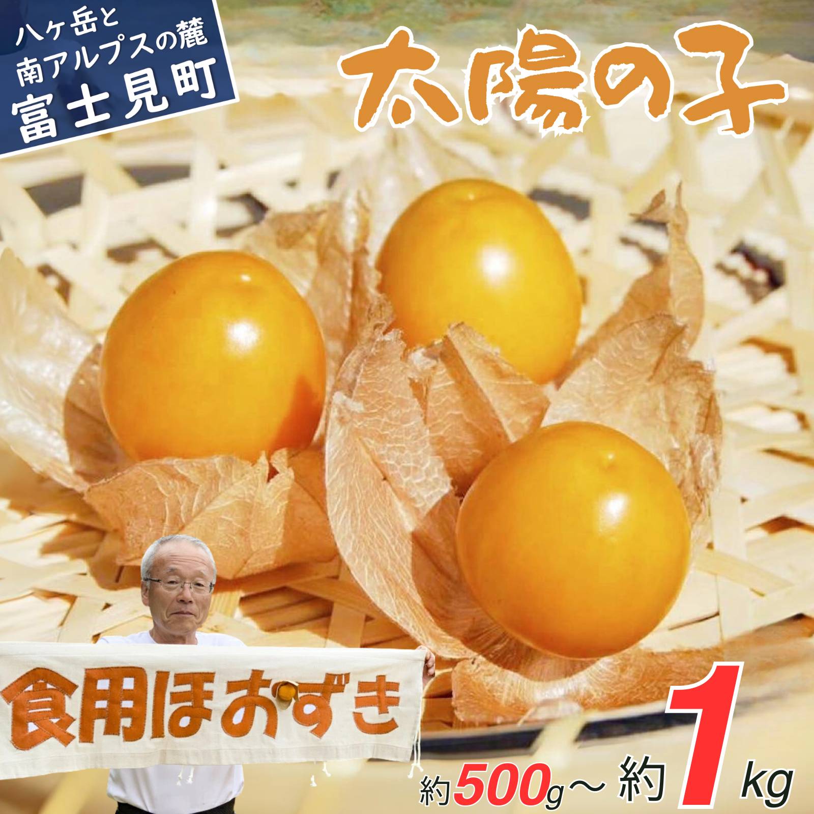 【ふるさと納税】【2026年9月上旬発送開始】 フルーツほおずき 太陽の子 約500g ～約1kg フルーツ 果物 旬 長野県産 信州産 八ヶ岳 富士見町 ground cherry ギフト 贈答 プレゼント お祝い 御祝 記念日 誕生日 食用 バディアス農園