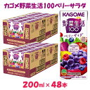 カゴメ 野菜生活100 ベリーサラダ 200ml×48本 ジュース 野菜 果実ミックスジュース 果汁飲料 紙パック 砂糖不使用 1食分の野菜 鉄分 ポリフェノール ビタミンA 飲料類 ドリンク 野菜ドリンク 備蓄 長期保存 防災 飲みもの