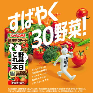 【ふるさと納税】【3ヶ月連続お届け】カゴメ 野菜一日これ一本（200ml*24本入）[一日分の野菜 1日分の野菜 野菜100％ 紙パック 野菜ジュース 飲料類 ドリンク 野菜ドリンク 備蓄 長期保存 防災 無添加 砂糖不使用 甘味料不使用 食塩不使用 栄養強化剤不使用 飲み物]