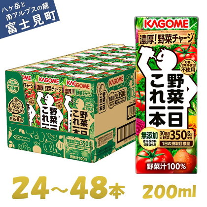 カゴメ 野菜一日これ一本 200ml×24本～48本 一日分の野菜 1日分の野菜 野菜100％ 紙パック 野菜ジュース 飲料類 ドリンク 野菜ドリンク 備蓄 長期保存 防災 無添加 砂糖不使用 甘味料不使用 食塩不使用 栄養強化剤不使用 飲み物