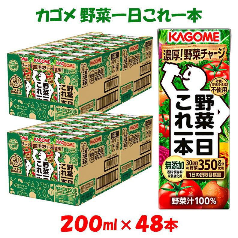 37位! 口コミ数「0件」評価「0」カゴメ 野菜一日これ一本 200ml×48本入 一日分の野菜 1日分の野菜 野菜100％ 紙パック 野菜ジュース 飲料類 ドリンク 野菜ドリ･･･ 