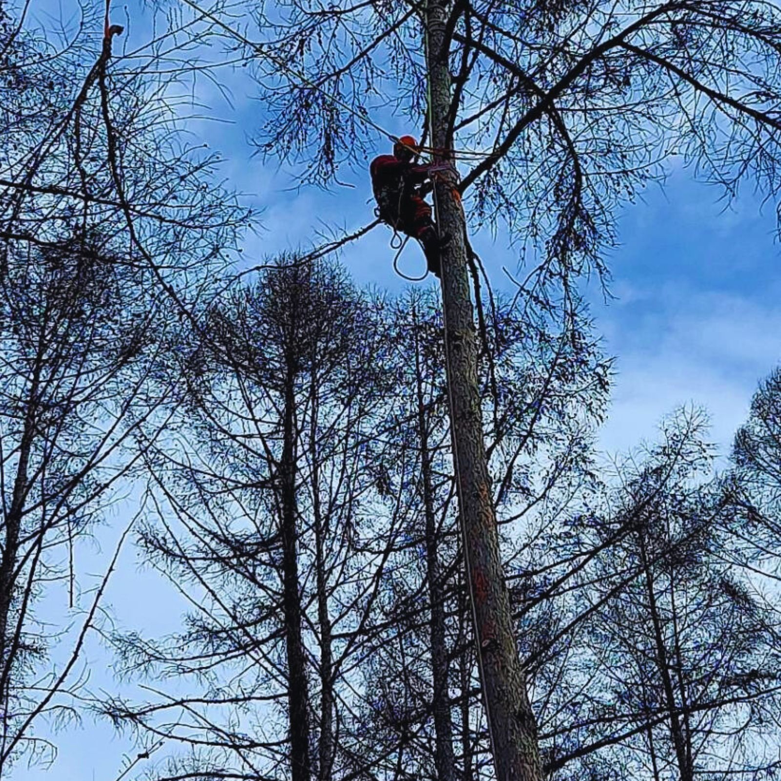 長野県富士見町の画像3