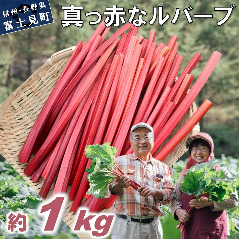 3位! 口コミ数「2件」評価「5」赤いルバーブ・フレッシュ 約1kg ※配送不可地域あり 野菜 ルバーブ 西洋野菜 食物繊維 カリウム カルシウム ビタミンC アントシアニン･･･ 