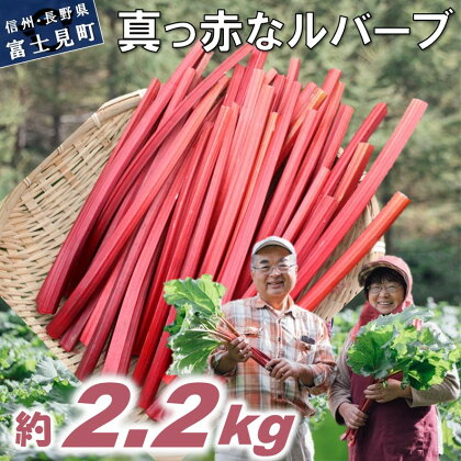 赤いルバーブ・フレッシュ 約2.2kg ※配送不可地域あり 野菜 ルバーブ 西洋野菜 食物繊維 カリウム カルシウム ビタミンC アントシアニン 美容 お届け：2024年6月頃〜10月下旬