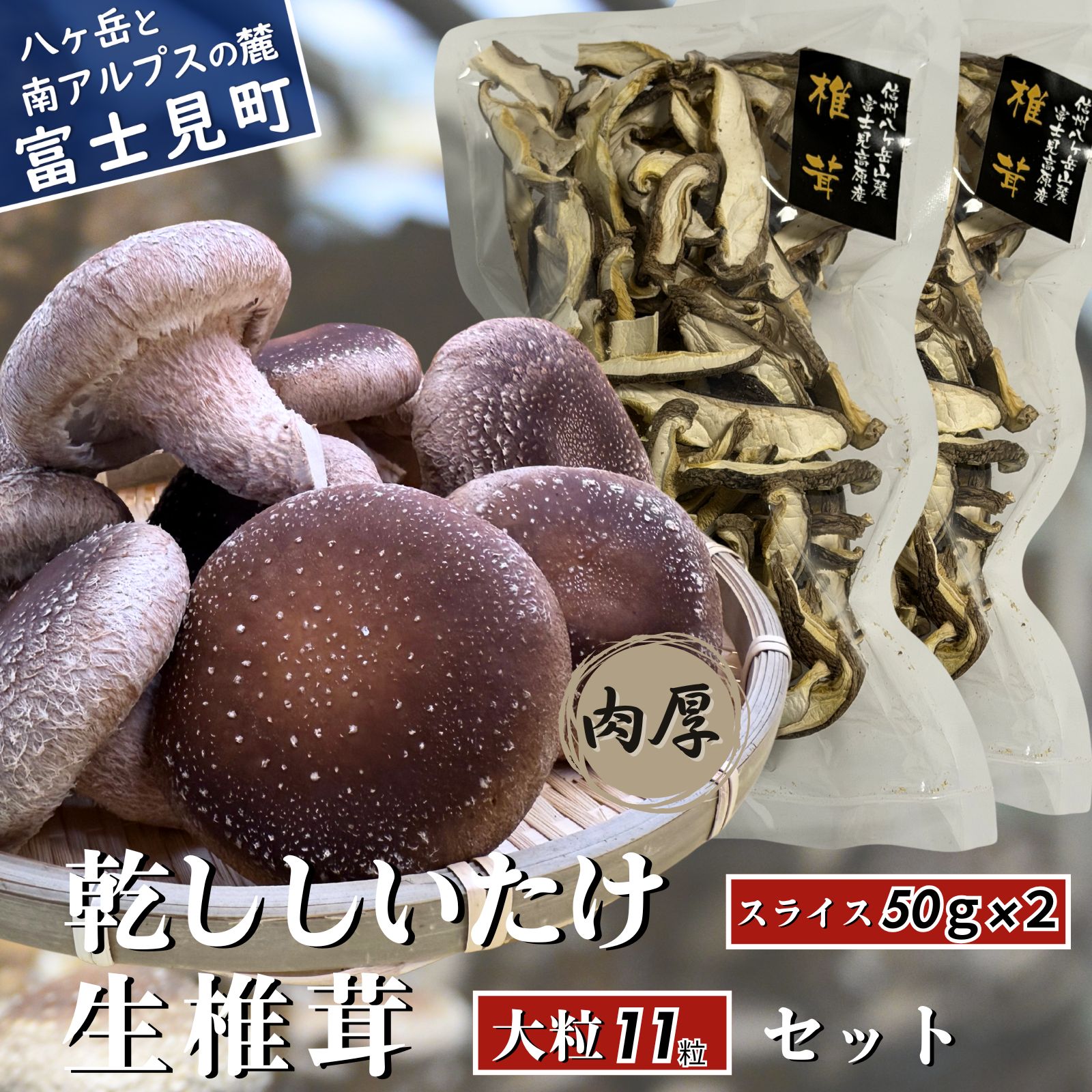 肉厚 大粒 生しいたけ 11粒+乾ししいたけスライス 50g×2 八ヶ岳山麓育ち 国産 朝採れ 安心安全 農薬不使用 ハウス栽培 芳醇な香り 椎茸 信州 送料無料 [発送時期:9月〜翌年5月の期間]