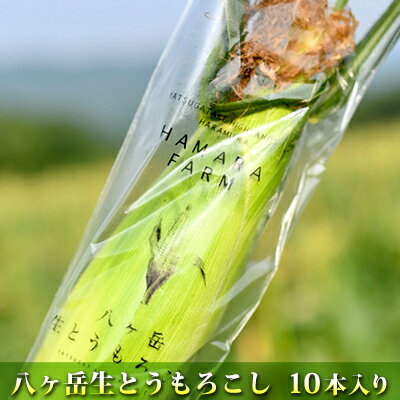 【ふるさと納税】生で食べられる極上の八ヶ岳生とうもろこし10本入り約3.5kg　【野菜・とうもろこし・生とうもろこし・極上・10本・八ヶ岳・大賞・ギフトボックス・フルーツ】　お届け：2022年7月下旬〜2022年9月下旬･･･