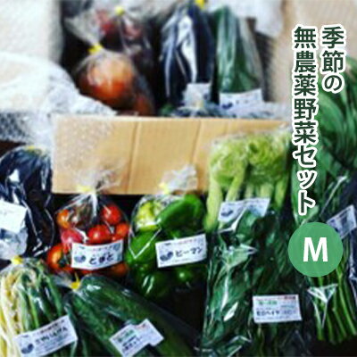 【ふるさと納税】【種to菜園】季節の無農薬野菜　Mセット　【 やさい 詰め合わせ 10種類前後 2〜3人前 食材 国産 長野県産 原村産 産地直送 】　お届け：2022年8月上旬〜2022年10月末