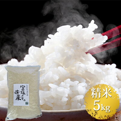 【ふるさと納税】八ヶ岳で育った精米ゆめしなの5kgと五百川(精米)500gセット【お米・ゆめしなの・五百川・米】