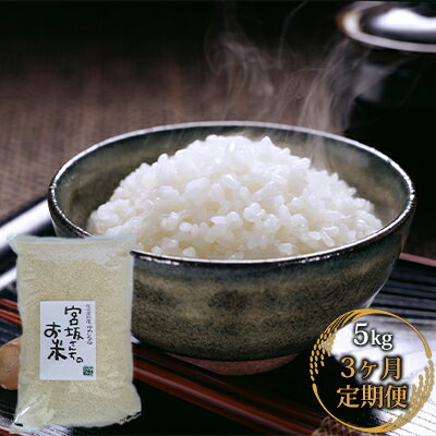 【ふるさと納税】【3ヶ月連続お届け】八ヶ岳で育った精米ゆめしなの5kgと五百川(精米)500gセット【定期便・お米・ゆめしなの・五百川・3ヶ月・3回】