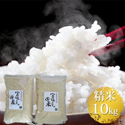 【ふるさと納税】八ヶ岳で育った精米ゆめしなの10kg(5kg×2袋)と五百川(精米)500gセット【お米・ゆめしなの・五百川・米】