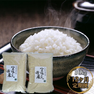【ふるさと納税】【12ヶ月連続お届け】八ヶ岳で育った精米ゆめしなの10kg(5kg×2袋)と五百川(精米)500gセット【定期便・お米・ゆめしなの・五百川・12ヶ月・12回・1年】