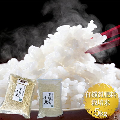 【ふるさと納税】八ヶ岳で育った有機質肥料栽培米ゆめしなの5kgと五百川(精米)500gセット【お米・ゆめしなの・五百川・米】