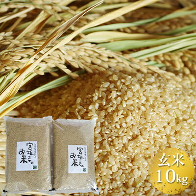【ふるさと納税】八ヶ岳で育った玄米 ゆめしなの10kg（5k