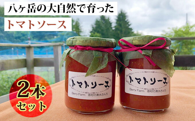 【ふるさと納税】八ヶ岳の大自然で育ったトマトソース2本セット　【野菜加工品・ソース】