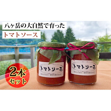 八ヶ岳の大自然で育ったトマトソース2本セット　【野菜加工品・ソース】