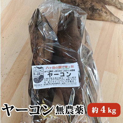 【ふるさと納税】ヤーコン約4kg※配送不可地域あり【野菜・野菜セット・キク科・根菜・ヤーコン・オリゴ糖・食物繊維・ミネラル・ポリフェノール】お届け:2022年10月中旬〜11月中旬