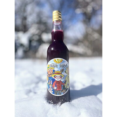【ふるさと納税】GRAPEJUICE(カベルネ・ソーヴィニョン2021)【果汁飲料・野菜飲料・ぶどうジュース・ブドウ】