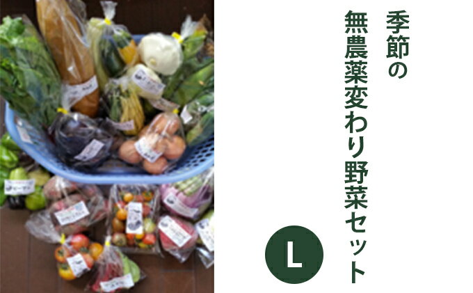【ふるさと納税】2025年度先行予約【種to菜園】季節の無農薬変り野菜　Lセット やさい 詰め合わせ 変わり種 10種類前後 4～5人前 食材 国産 長野県産 原村産 産地直送 　お届け：2026年7月下旬～2026年9月末
