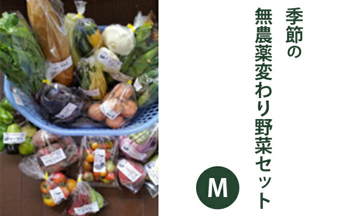 【ふるさと納税】2025年度先行予約【種to菜園】季節の無農薬変わり野菜　Mセット やさい 詰め合わせ 変わり種 10種類前後 2～3人前 食材 国産 長野県産 原村産 産地直送 　お届け：2026年7月下旬～2026年10月末