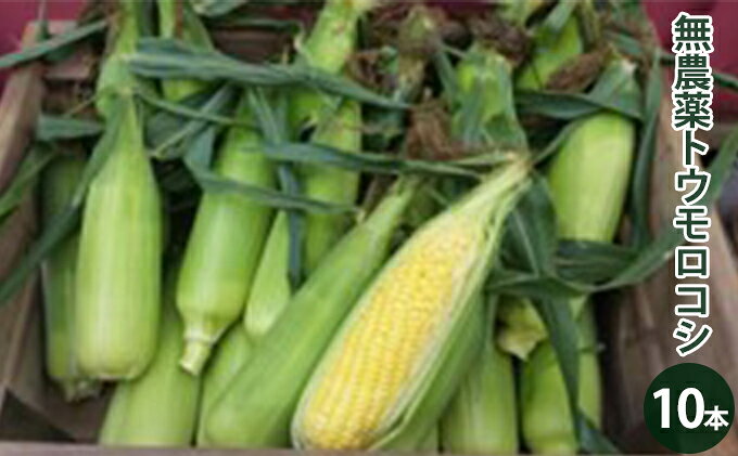 長野県原村の画像2