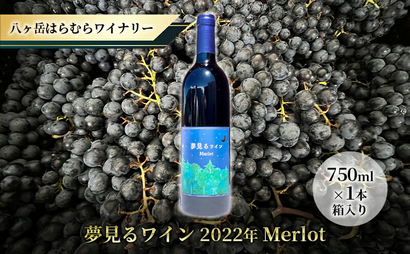 【ふるさと納税】八ヶ岳はらむらワイナリー 夢見るワイン 2022年 Merlot 箱入り 1本　【 お酒 長野県産メルロー ミディアムボディ 赤ワイン 果実感 さわやかな酸味 スパイシー 程よいタンニン 】