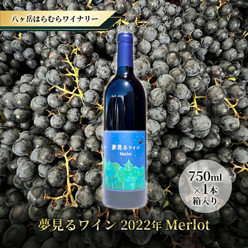 【ふるさと納税】八ヶ岳はらむらワイナリー 夢見るワイン 2022年 Merlot 箱入り 1本　【 お酒 長野県産メルロー ミディアムボディ 赤ワイン 果実感 さわやかな酸味 スパイシー 程よいタンニン 】