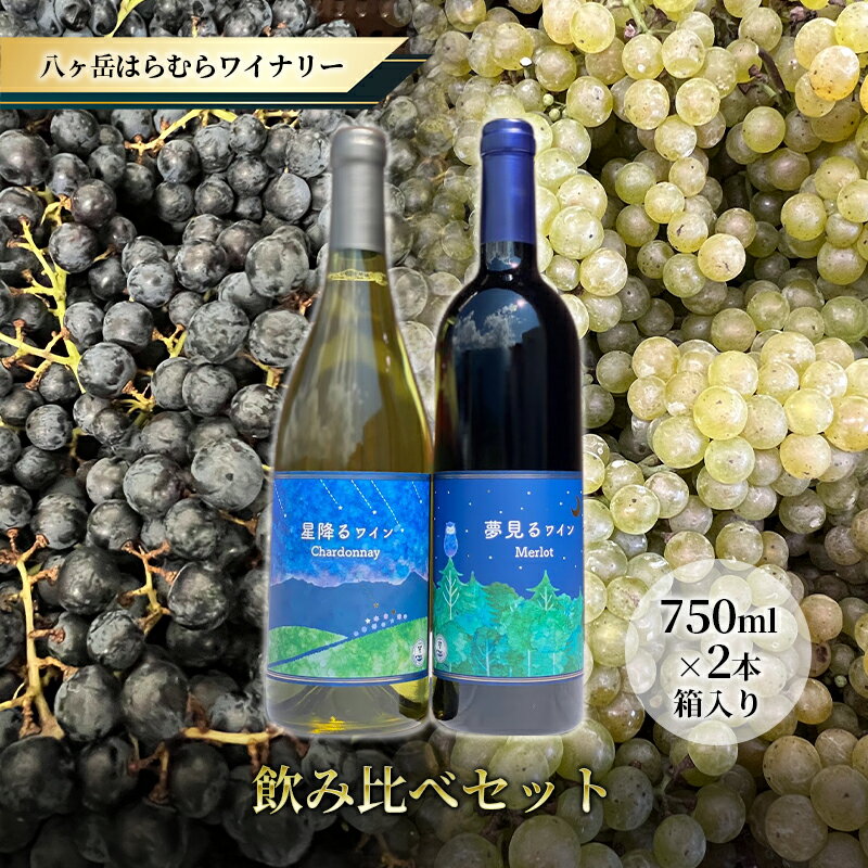 【ふるさと納税】八ヶ岳はらむらワイナリー 飲み比べ 2本セット 箱入り　【 お酒 赤ワイン 白ワイン シャルドネ 辛口 ミディアムボディ 果実感 スパイシー 程よいタンニン 】