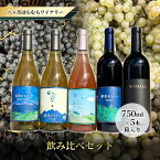 【ふるさと納税】八ヶ岳はらむらワイナリー 飲み比べ5本セット　【 ワイン お酒 赤ワイン アルコール ロゼワイン 白ワイン ぶどう ミディアムボディ ブレンド 酸味 穏やか タンニン 清涼感 フレーバー 果実 】