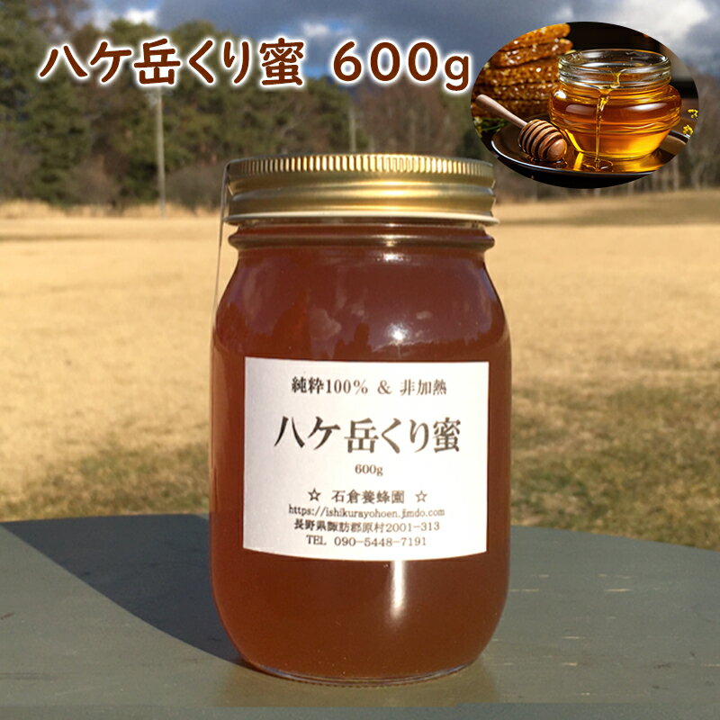 【ふるさと納税】八ケ岳くり蜜 600g　【蜂蜜・はちみつ】