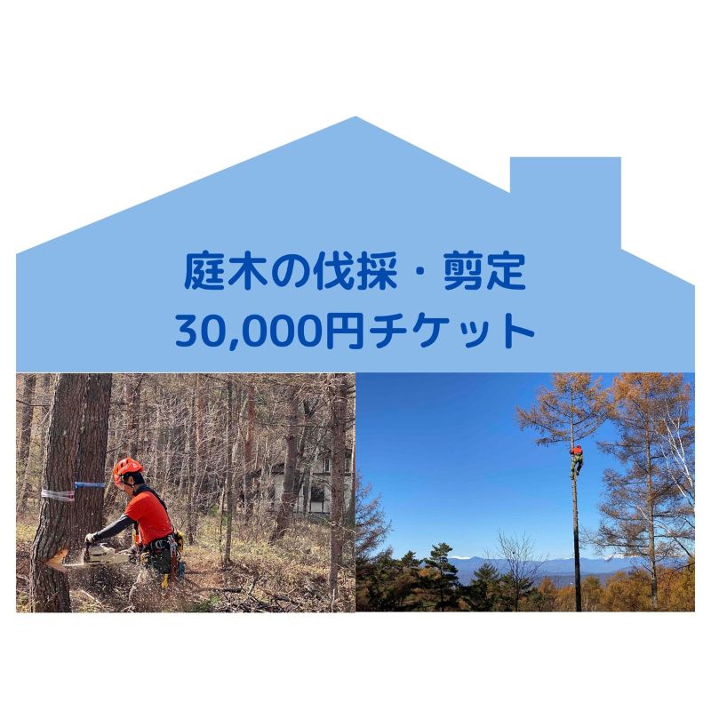 【ふるさと納税】【原村限定】庭木の伐採・剪定30,000円チケット　別荘　自宅　空き家　庭木　お手入れ　庭　ガーデニング　剪定　伐採　サービス　プレゼント