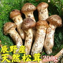 【ふるさと納税】063 辰野産 松茸200g 先行予約はじめました!!