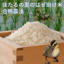 10位! 口コミ数「1件」評価「3」 218 ほたるの里のはぜ掛け米 10kg合鴨農法 新米予約受付中!!