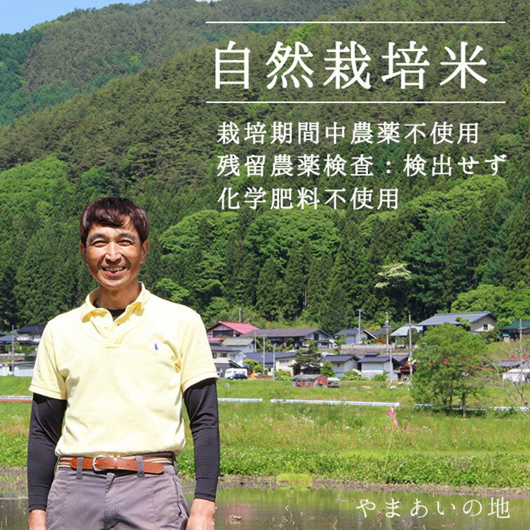 【ふるさと納税】460 白米10キロ　自然栽培のやさしい味を食卓に！『認定米こしひかり』小里米！令和5年新米発送！