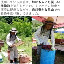 長野県辰野町の画像3