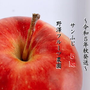 【ふるさと納税】276 りんご:ふじ5kg 11月中下旬以降発送【野澤フルーツ農園】