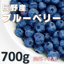 【ふるさと納税】 240 農薬不使用 国産 ブルーベリー 700g限定品 手摘み 長野県 認証 取得 ！！今が旬！！発送始まりました！！ 画像1