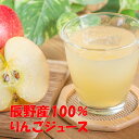 32位! 口コミ数「0件」評価「0」016 辰野産 100% りんご ジュース 長野県