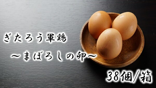 293 幻 の 卵 ぎたろう 軍鶏 の 生みたて たまご 38個