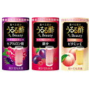 【ふるさと納税】食べる前のうるる酢3種×6本セット 【果実飲...