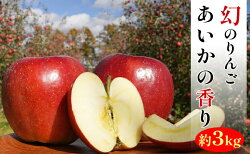 【ふるさと納税】【幻のりんご】あいかの香り約3kg　信州生まれの数少ない希少なりんご　【果物類・林檎・りんご・リンゴ】　お届け：2021年11月中旬〜2022年1月下旬･･･ 画像1