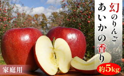 【ふるさと納税】〈家庭用〉あいかの香り 約5kg　【果物類・林檎・りんご・リンゴ】　お届け：2021年11月中旬〜2022年1月末 画像1